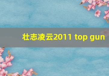 壮志凌云2011 top gun